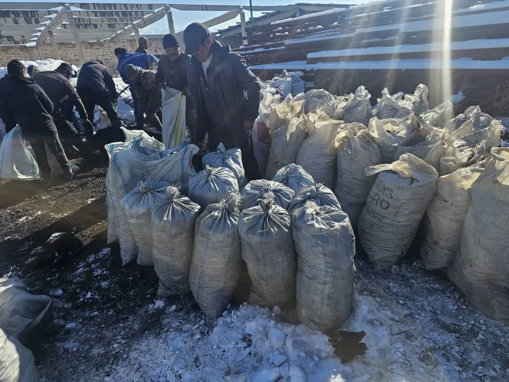 Зимняя поддержка семей — 1